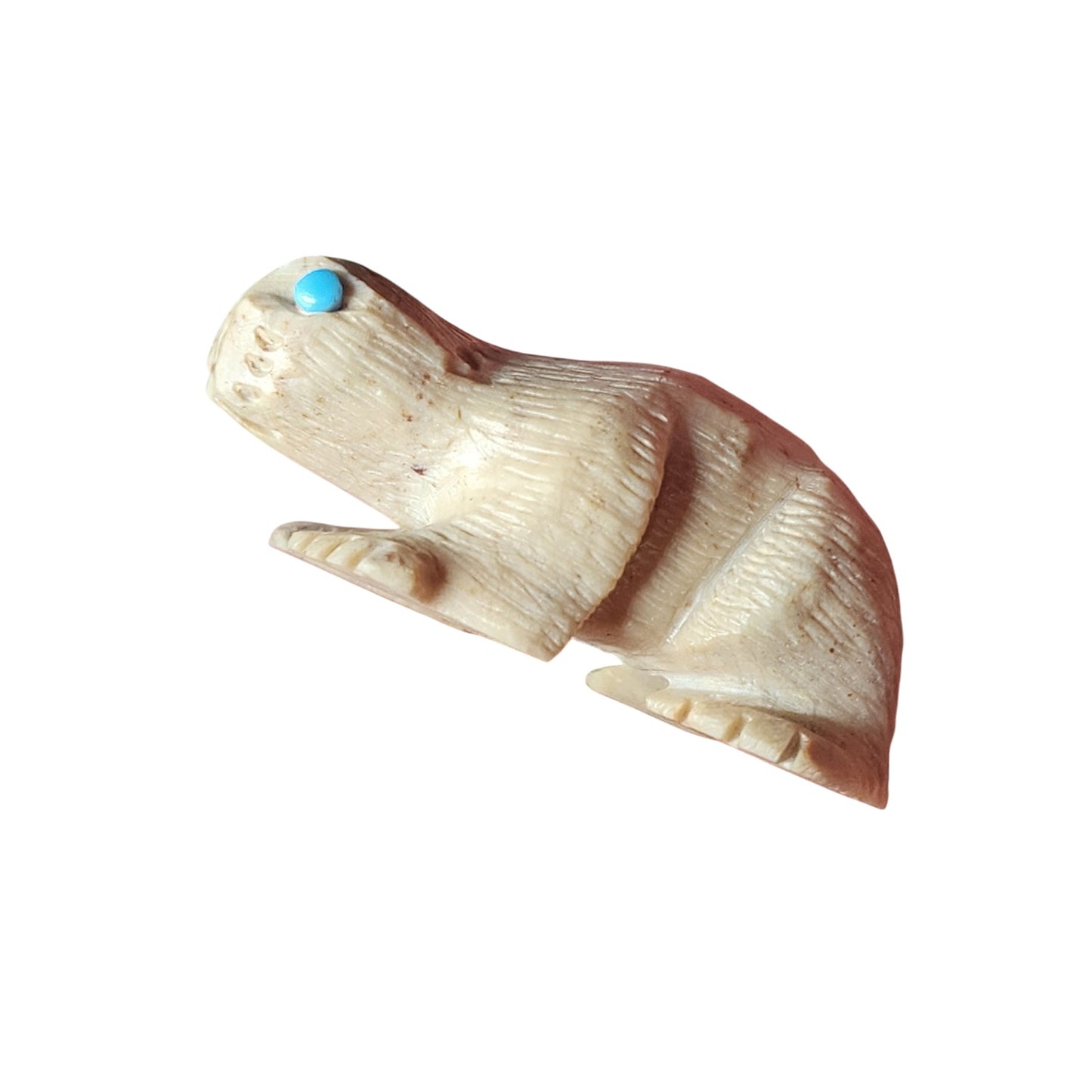 Native American Zuni Reptile Fetish Carving Turquoise Totem Southwest Art Signed