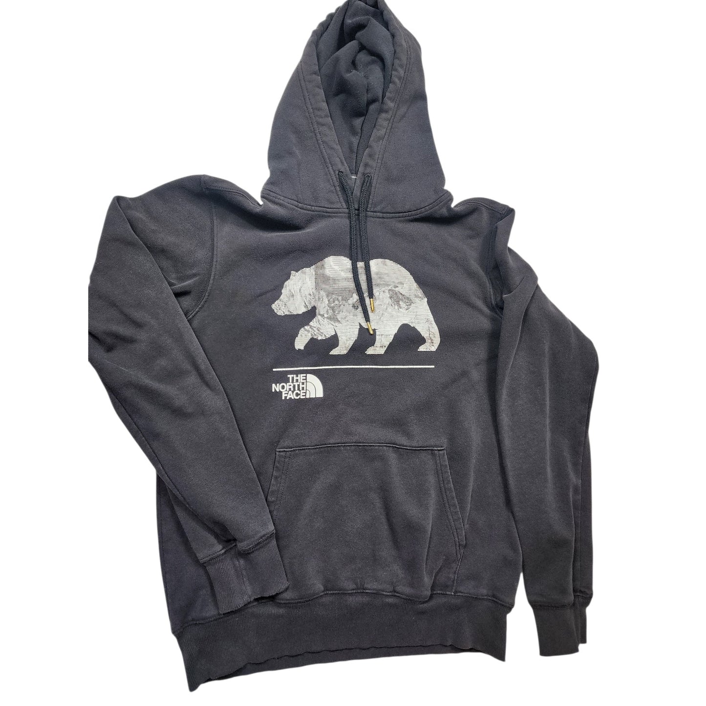 North Face Hoodie Mens Small Womens Medium Bear Graphic Pullover Sweatshirt Y2K