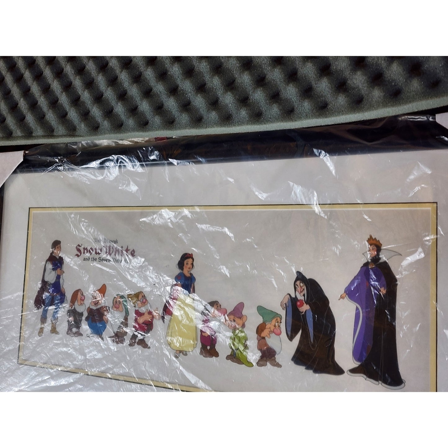 Disney Sericel Snow White Seven Dwarf Cast of Characters COA Tag LE Framed 35x18