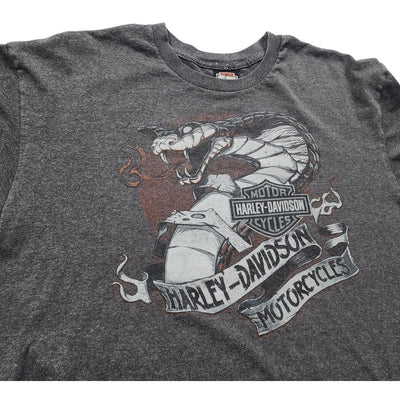Harley Davidson T Shirt Mens XL Graphic Scottsdale Arizona Dragon Tee Biker Moto