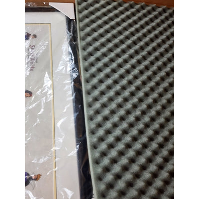 Disney Sericel Snow White Seven Dwarf Cast of Characters COA Tag LE Framed 35x18