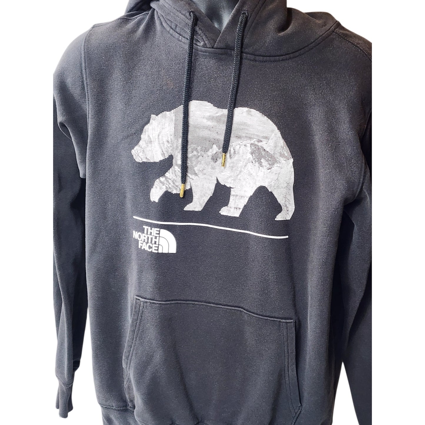North Face Hoodie Mens Small Womens Medium Bear Graphic Pullover Sweatshirt Y2K
