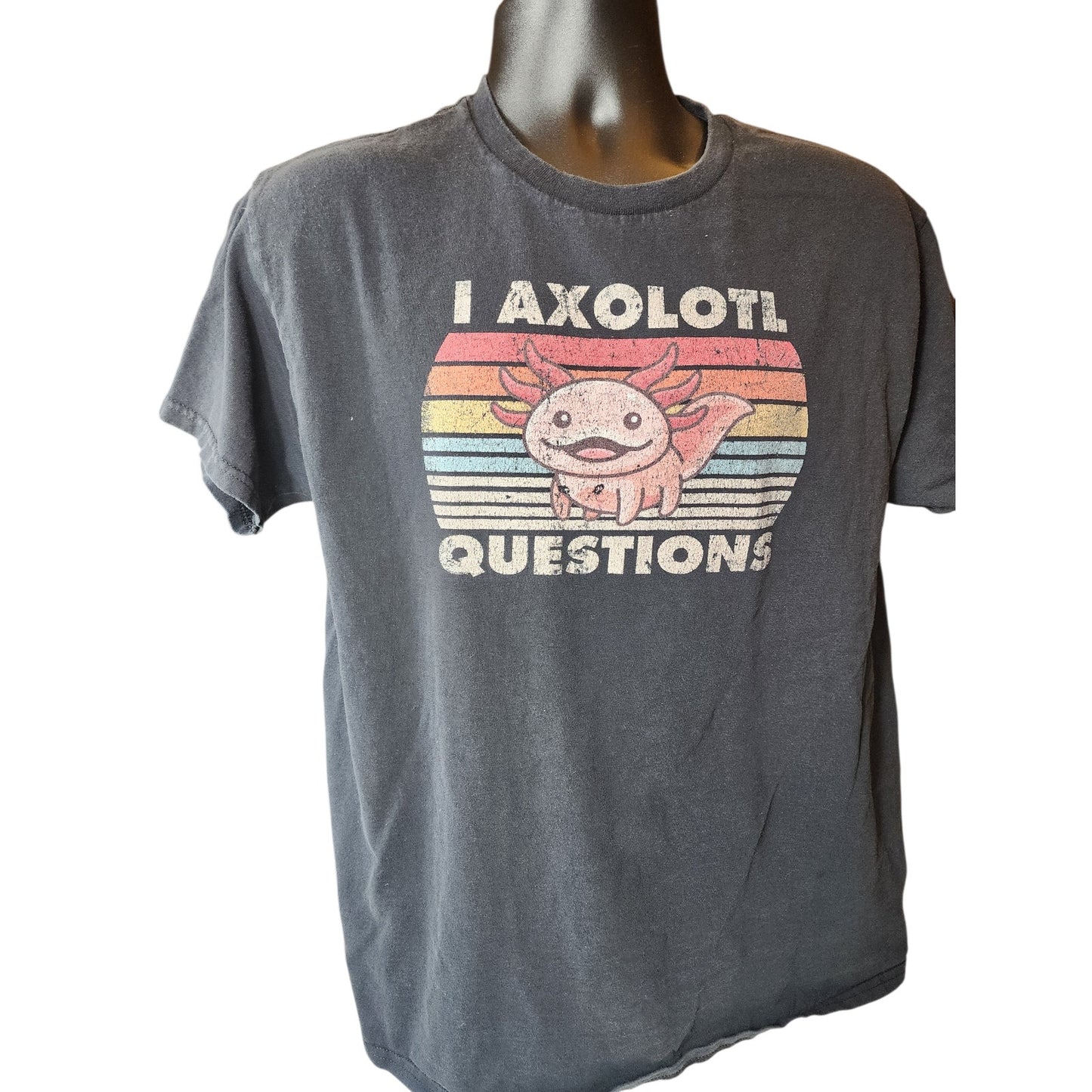 Axolotl Graphic TShirt Medium Vintage Style Pun Tee Humor Retro Rainbow Meme Y2K