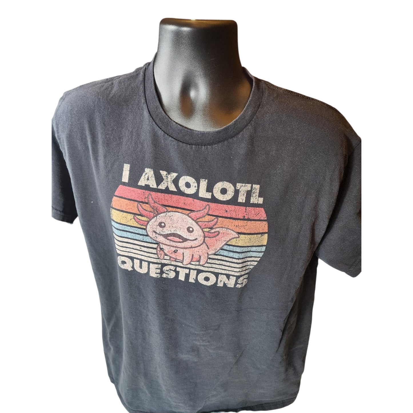 Axolotl Graphic TShirt Medium Vintage Style Pun Tee Humor Retro Rainbow Meme Y2K