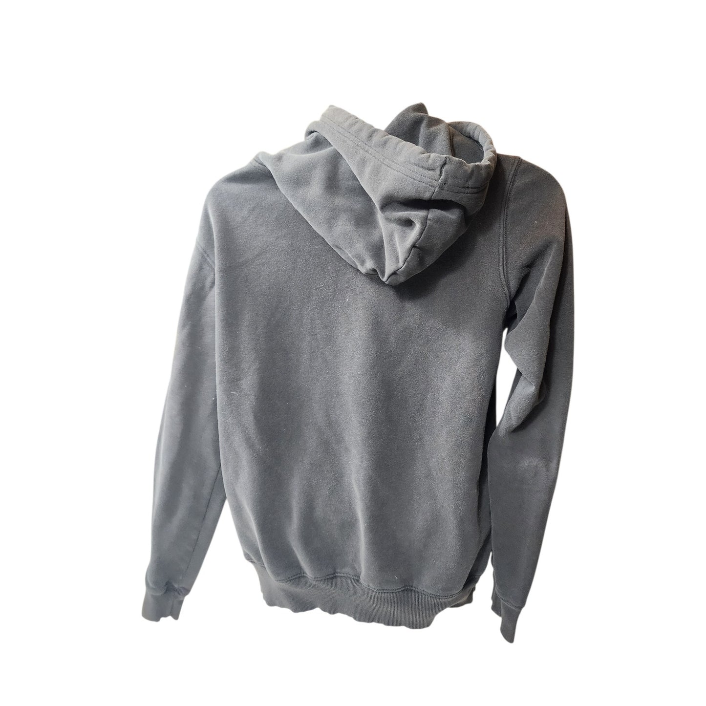 North Face Hoodie Mens Small Womens Medium Bear Graphic Pullover Sweatshirt Y2K