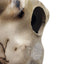 Native American Southwestern Style Pottery Buffalo Skull Signed T Vail Horsehair