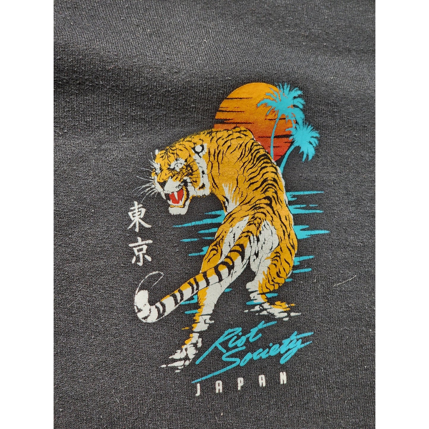 Riot Society Tiger Tokyo Hoodie Large Graphic Japan Streetwear Sunset Skater Y2K