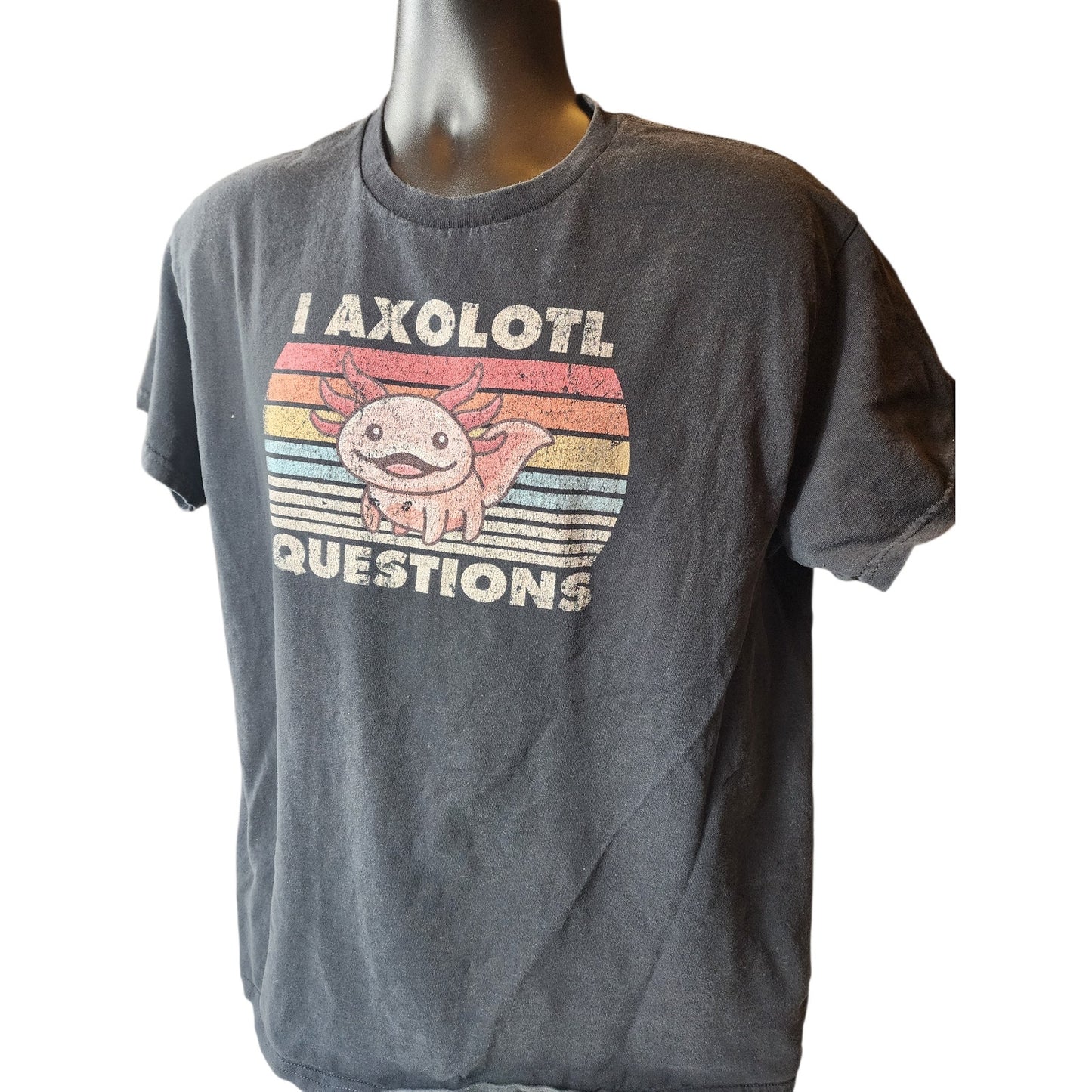 Axolotl Graphic TShirt Medium Vintage Style Pun Tee Humor Retro Rainbow Meme Y2K
