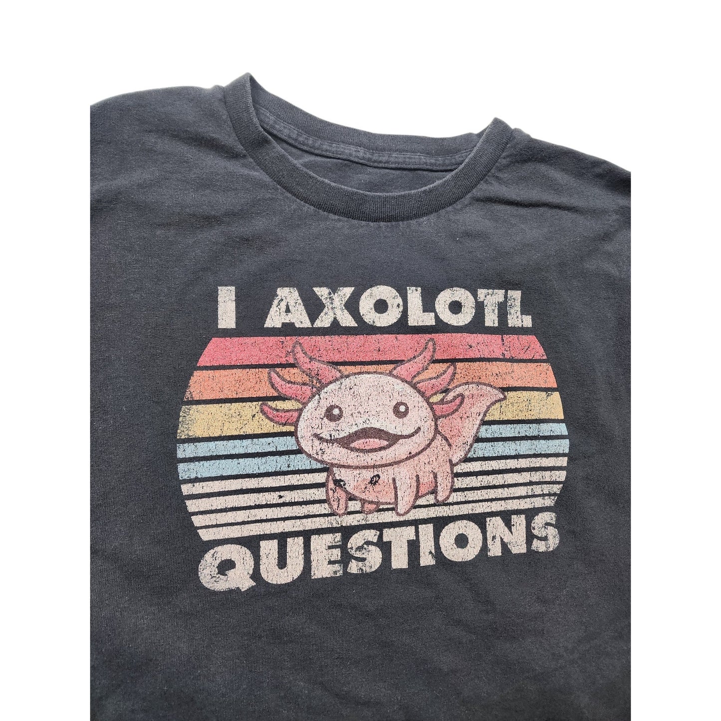 Axolotl Graphic TShirt Medium Vintage Style Pun Tee Humor Retro Rainbow Meme Y2K