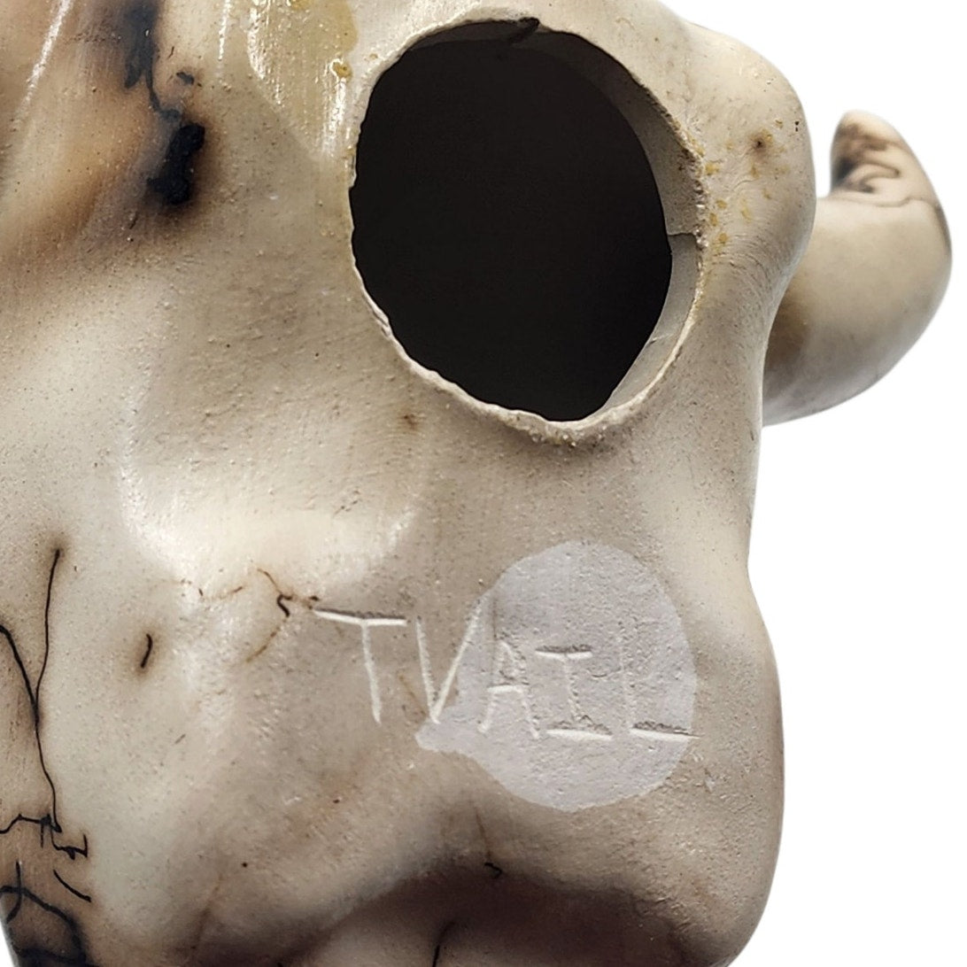 Native American Southwestern Style Pottery Buffalo Skull Signed T Vail Horsehair