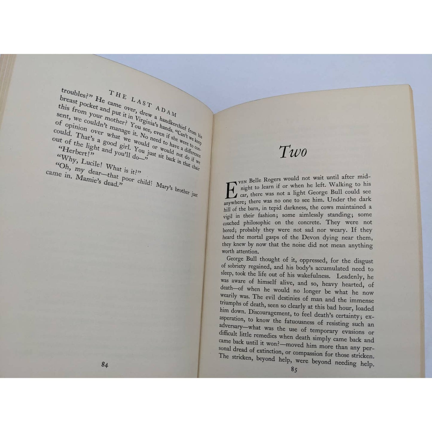The Last Adam By James Gould Cozzens Third Printing Vintage Novel Epidemic 1933