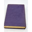The Guest Of Quesnay By Booth Tarkington Illustrated Antiquarian Vintage 1916