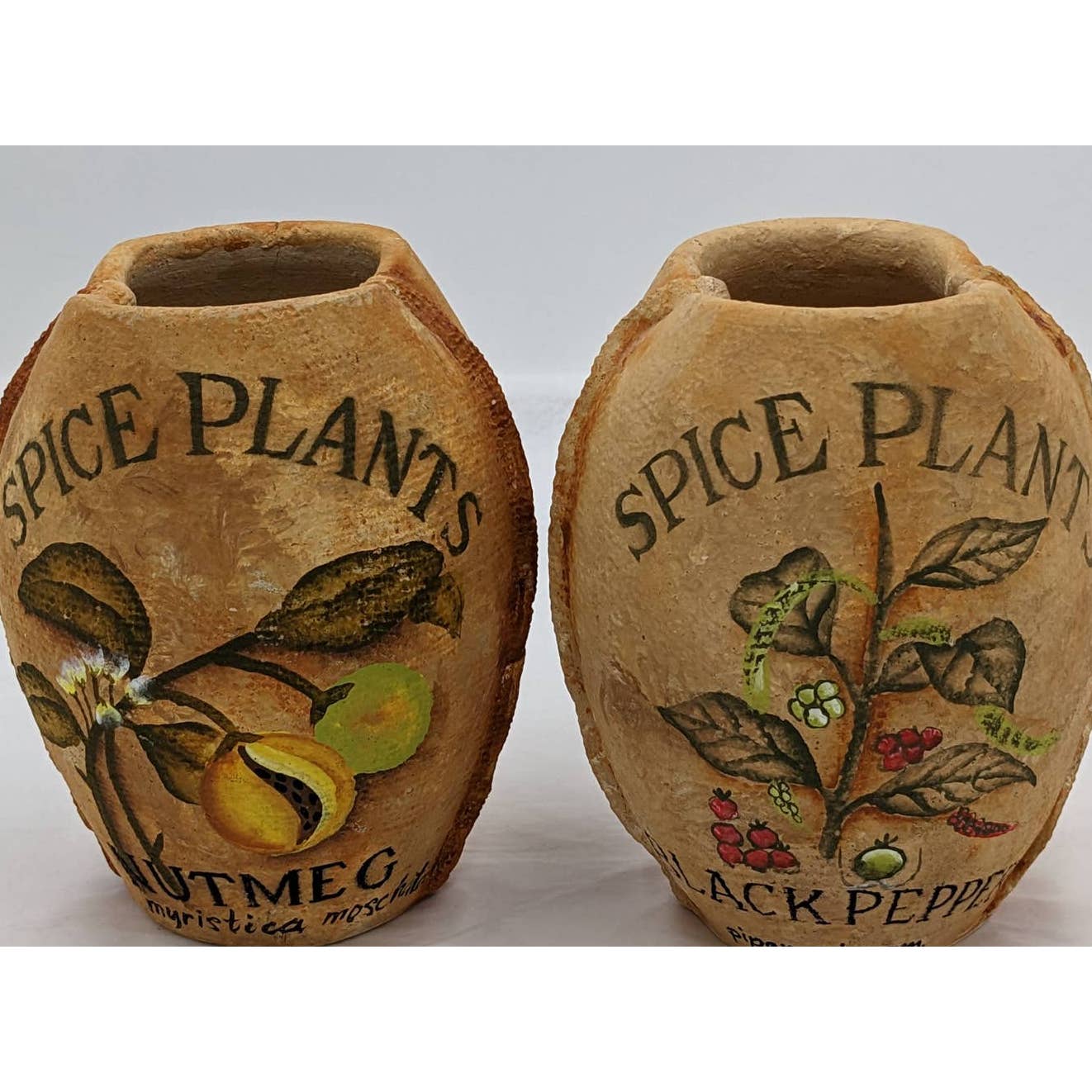 Spice Plants Jars Pair Nutmeg Myristica Moschata Black Pepper Piper Philippines