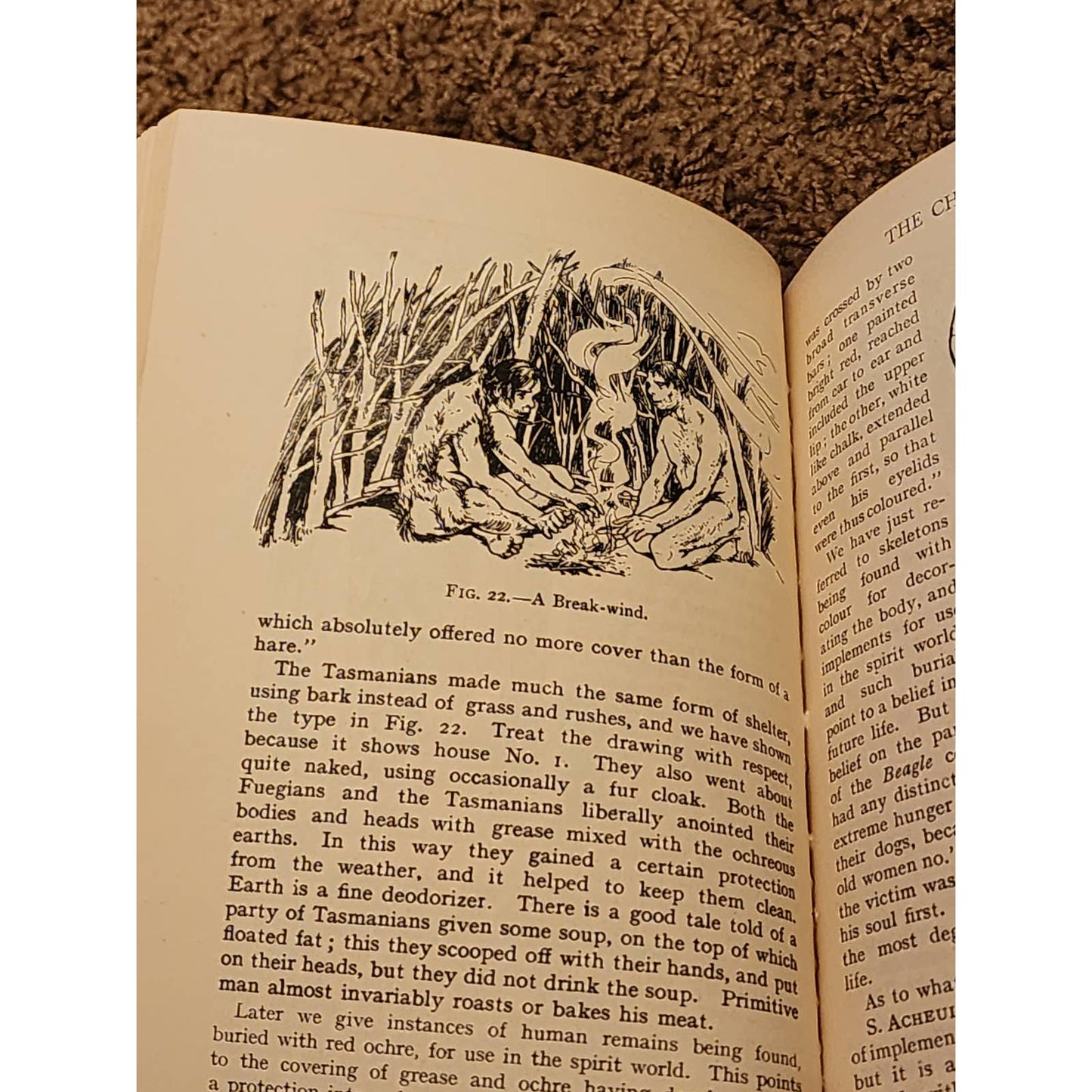 Everyday Life In The Old Stone Age Marjorie And Quennell Illustrated Vintage