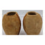 Spice Plants Jars Pair Nutmeg Myristica Moschata Black Pepper Piper Philippines