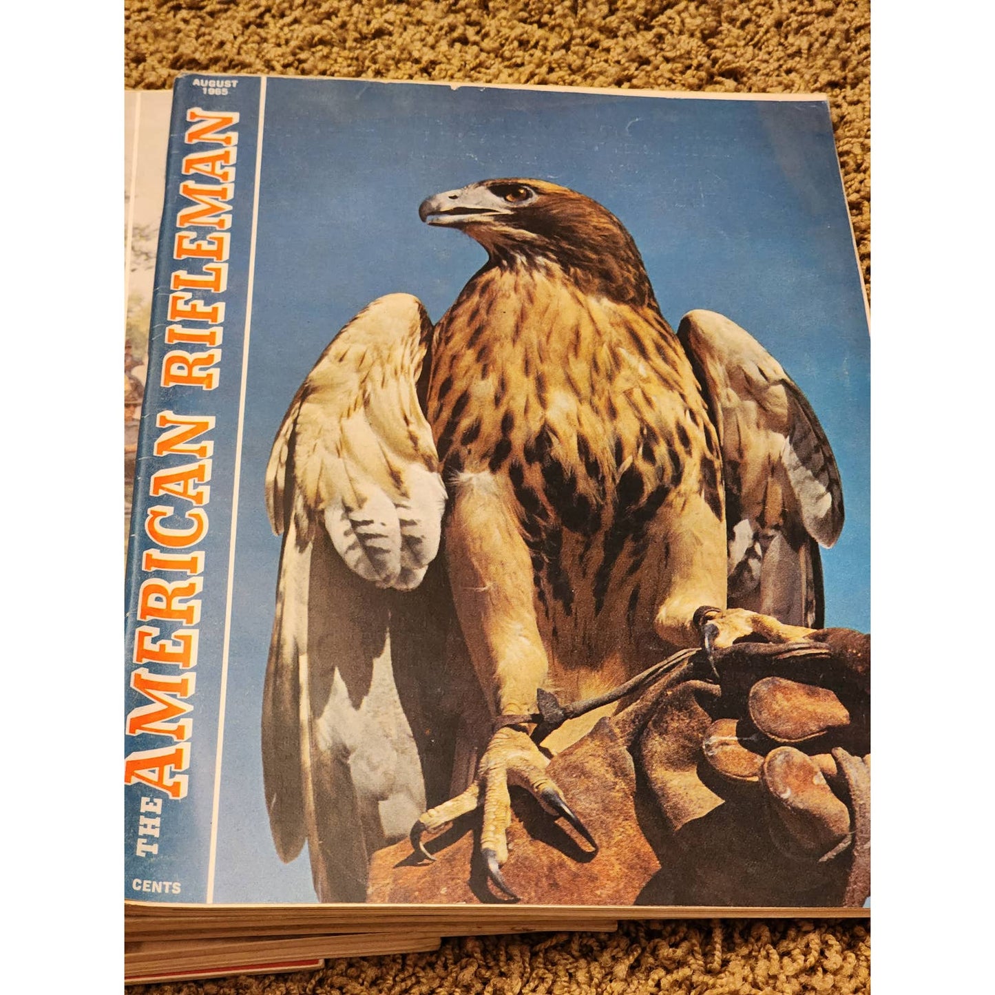 1965 The American Rifleman Magazine Lot 12 Vintage American History Hunting NRA