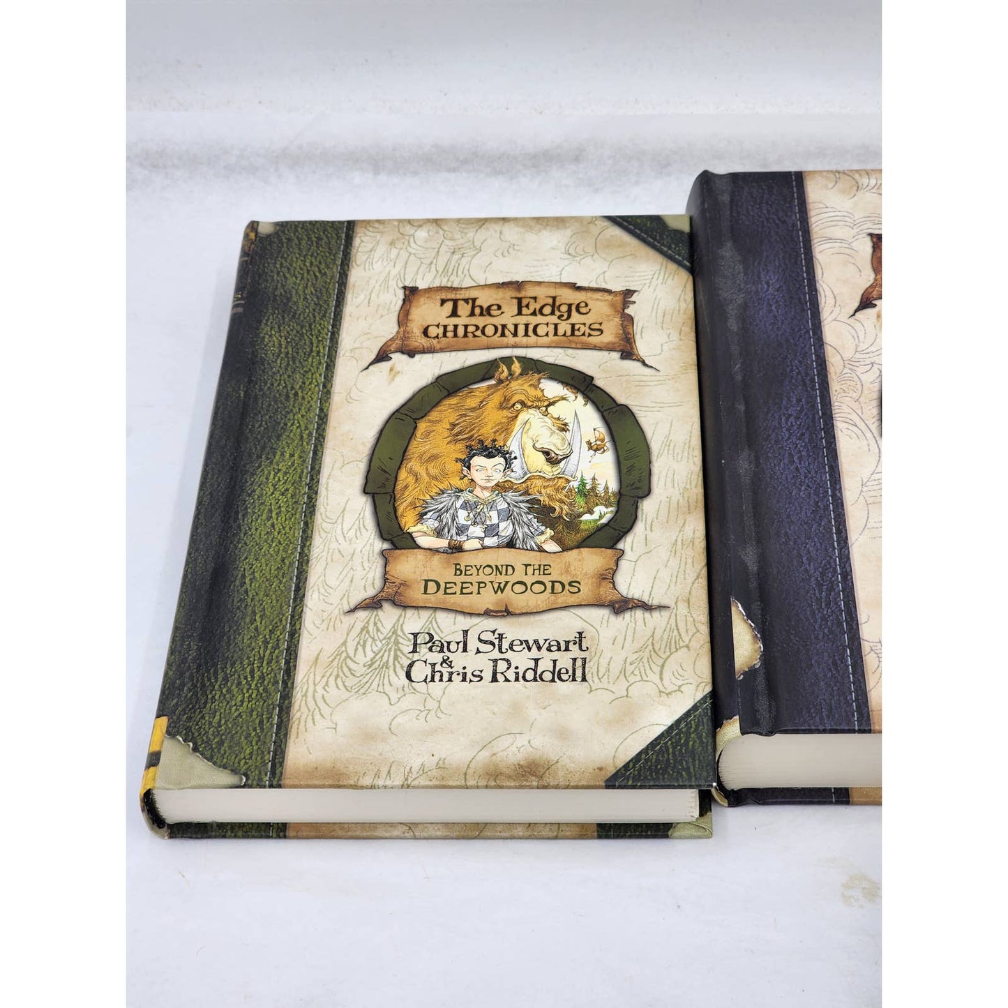 The Edge Chronicles 4 Books Childrens Fantasy Magic Series By Paul Stewart