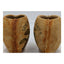 Spice Plants Jars Pair Nutmeg Myristica Moschata Black Pepper Piper Philippines
