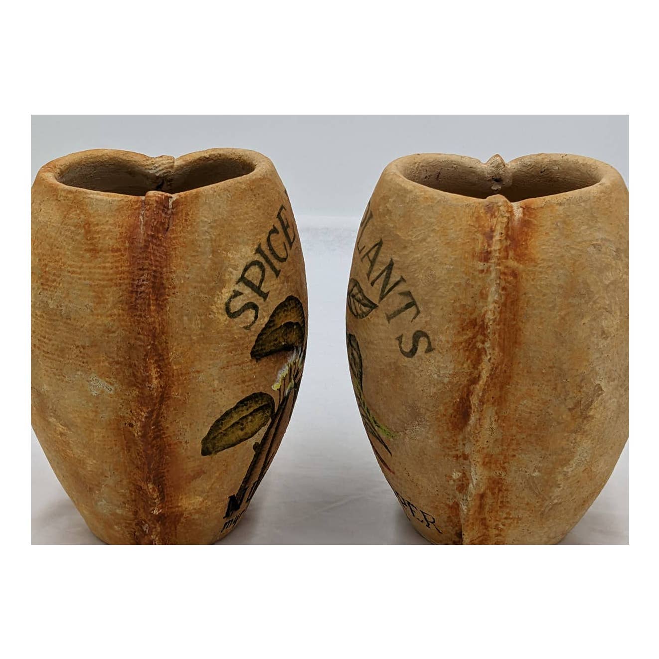 Spice Plants Jars Pair Nutmeg Myristica Moschata Black Pepper Piper Philippines