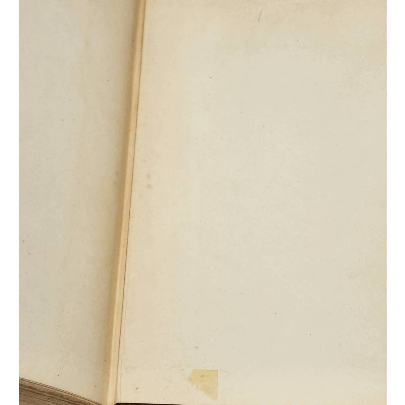 French Men Of Letters Francois Rabelais By Arthur Tilley Antiquarian 1907