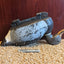 Lot Of 3 Plastic Duck Decoys 12-14" Vintage Hunting Equipment