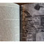 The City In The History Its Origins Transformations Lewis Mumford Vintage 1961