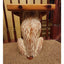 Monkey Vintage Side Table Book End Table Carved Wood Large Planter Spain 20"