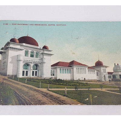 C1909 Fish Hatchery Herbarium Butte Montana Columbia Gardens Antique Postcard