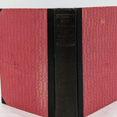 Peder Victorious By O. E. Rolvaag Vintage Novel Sequel Giants in the Earth 1929