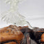 Vintage Glass Eagle Resting Glass Branch Rested Large Wood Base Tree Trunk 16"