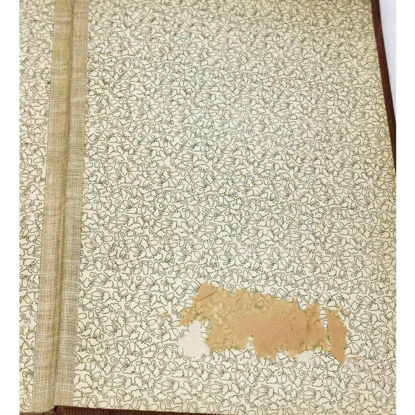 The Man From Home By Booth Tarkington Henry Leon Wilson Play Antiquarian 1908