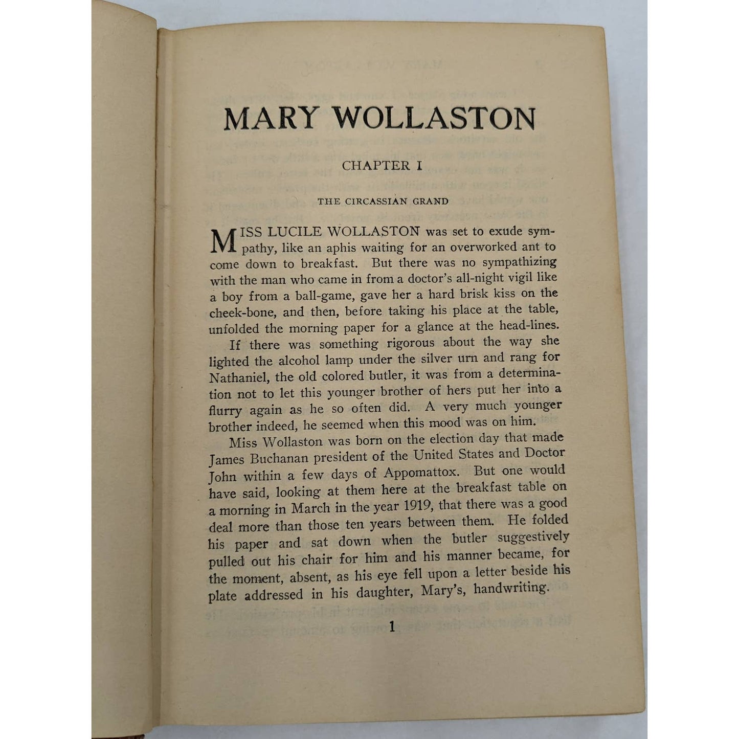 Mary Wollaston By Henry Kitchell Webster Antiquarian Vintage Novel 1920