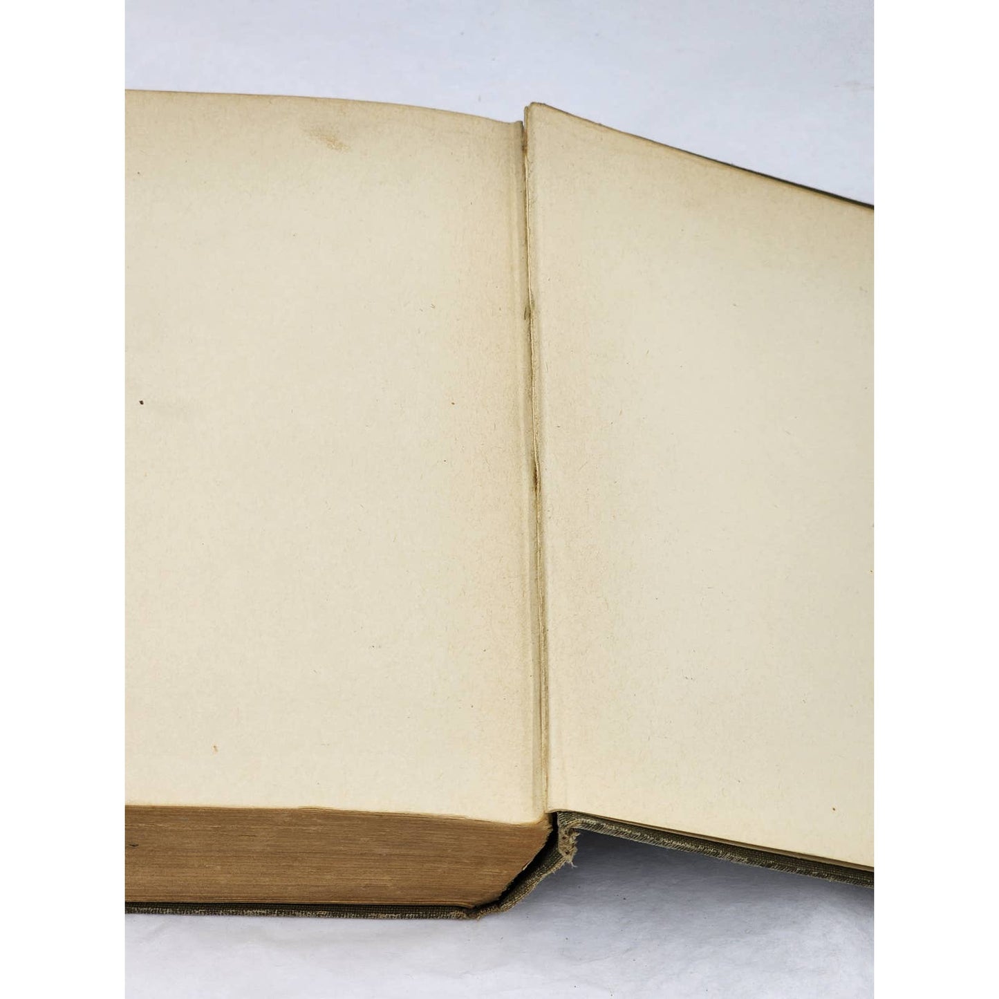 The Coast Of Chance By Esther & Lucia Chamberlain Antiquarian Vintage 1908