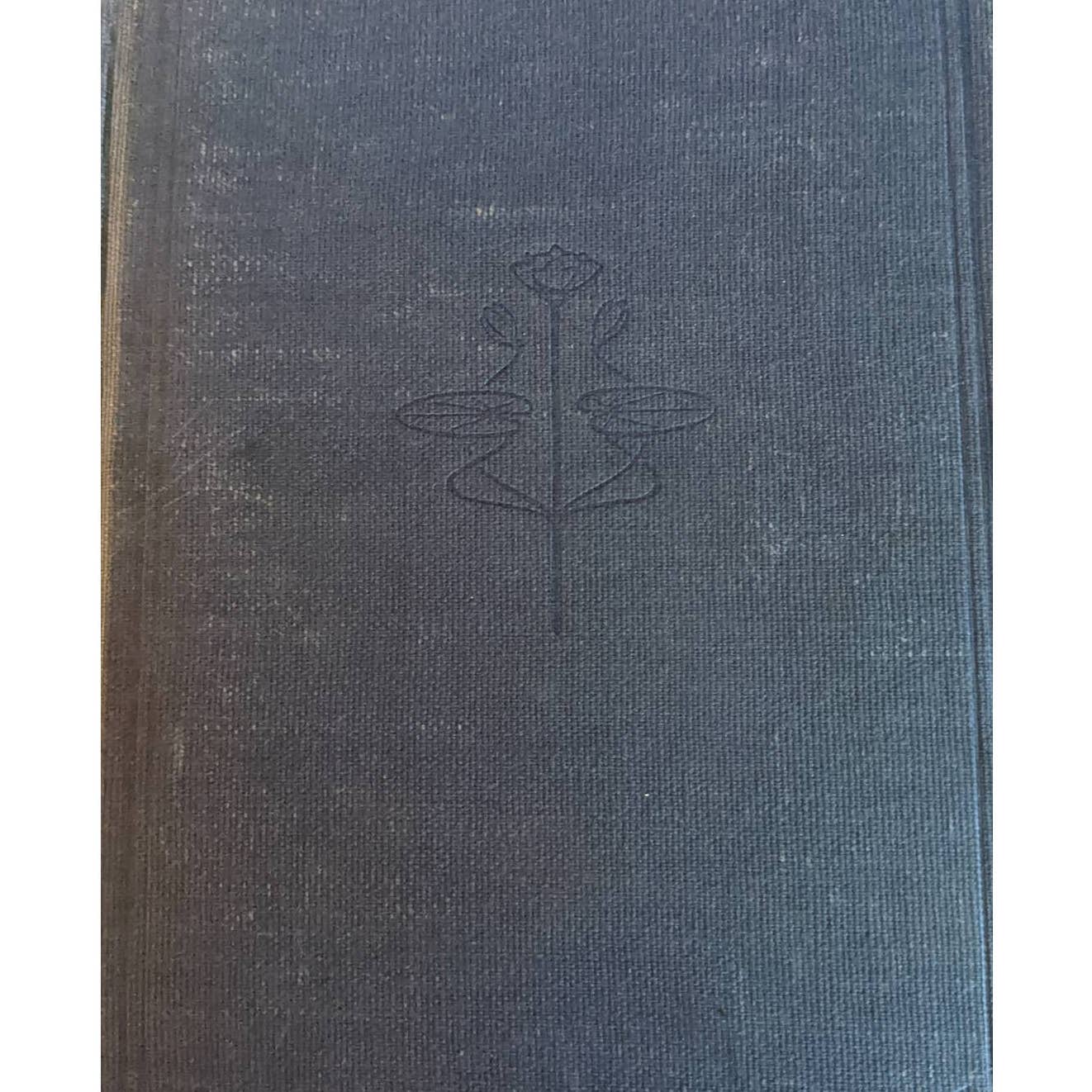 Antiquarian 1917 The Bible Story 5 Volumes Golden Book; Hero Tales; Old Judaea