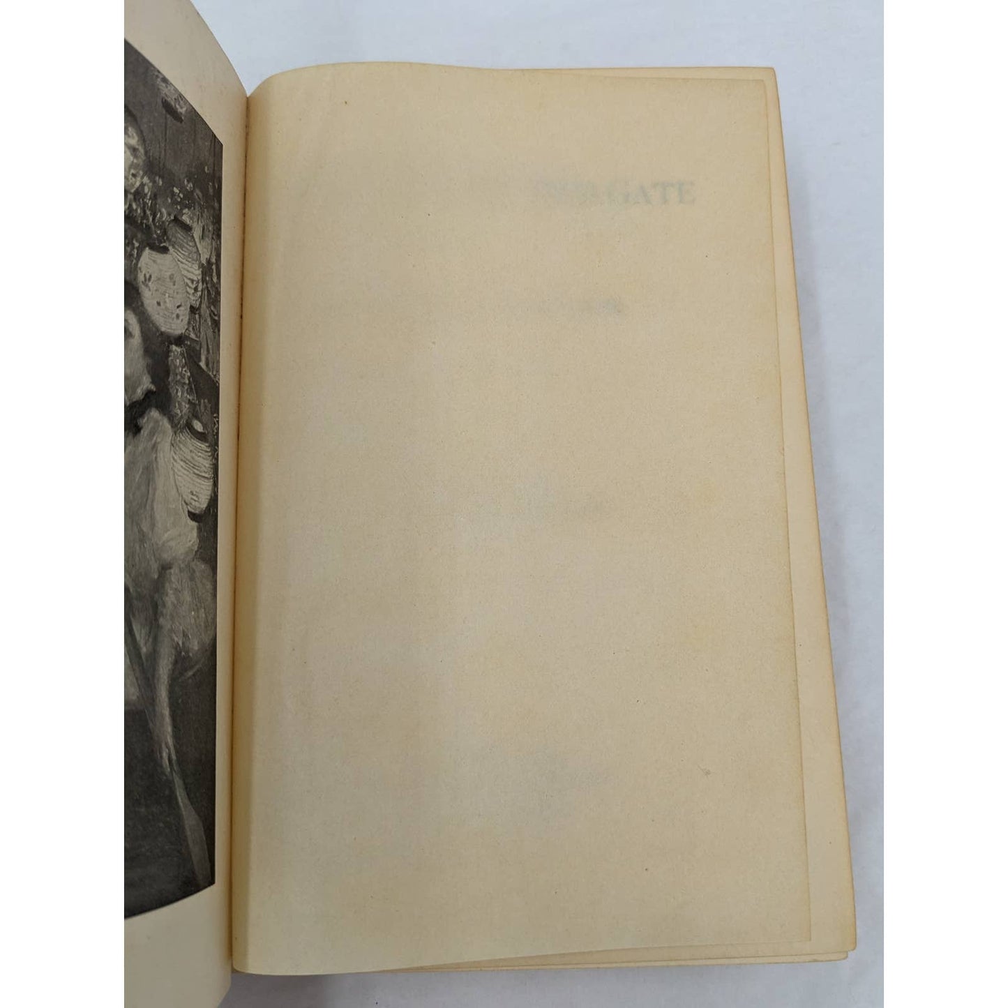 Rosalind At Red Gate By Meredith Nicholson Illustrated Antiquarian Novel Early Printing 1907