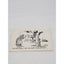 Coopers Photo Laff Card Oh! Mah Goodness Peculiar Boy Humor Vintage Postcard