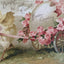 C1900s Easter Antique Postcard Set Of 5 Easter Greetings