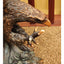 Eagle Sculpture Large Catching Prey Swooping Marian Imports Bronze Plated Resin